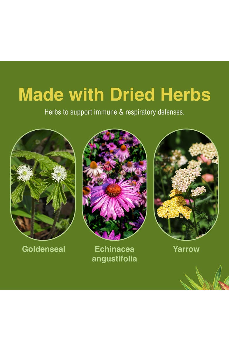 Trace Minerals Peak Defense - Support a Healthy Respiratory System - Herbal Supplement to Support Immune Health - Vitality Support Supplement for Adults - Gluten-Free - 60 Softgels, Alternate, color,