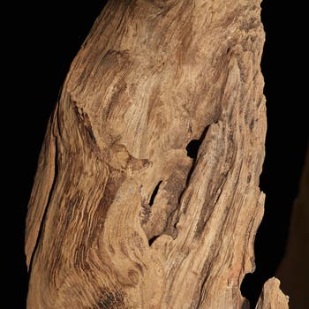 Ru de L'Université Eau de Parfum