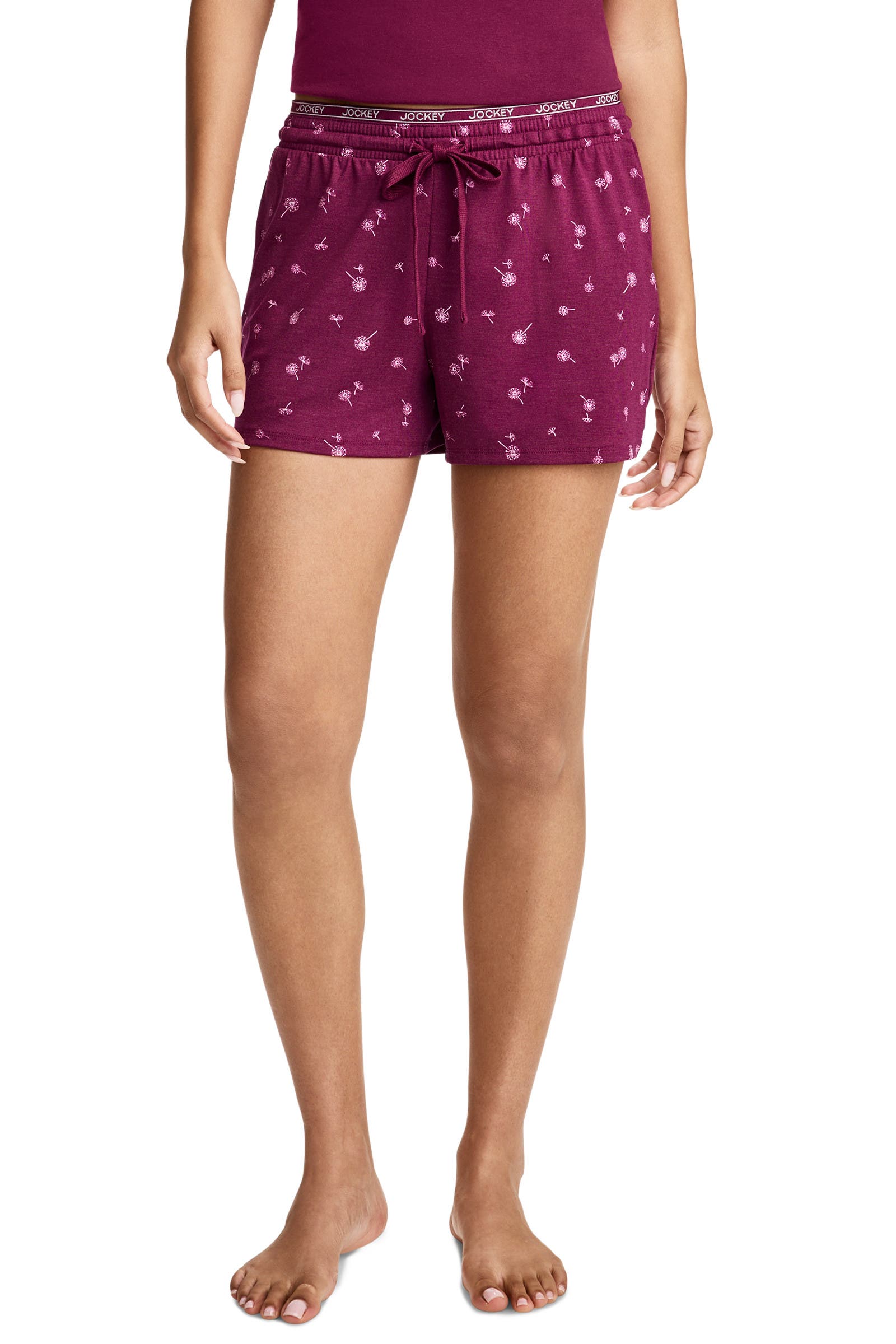 Berry Dandelion