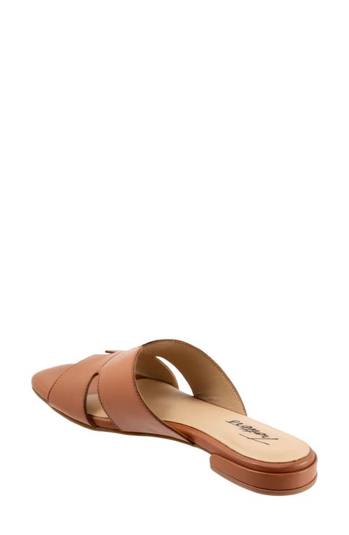Trotters Nell Slide Sandal In Brown