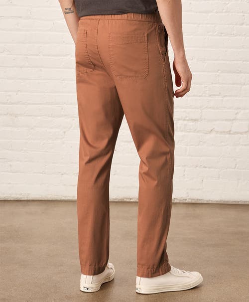 Pact Organic Cotton Daily Twill Midweight Pant In Ochre
