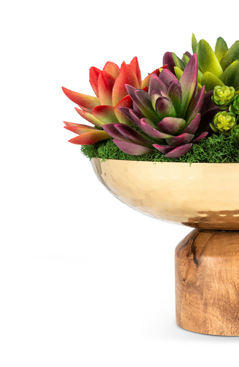 CocoBella Petra Succulent Wooden Pedestal Arrangement, Alternate, color,