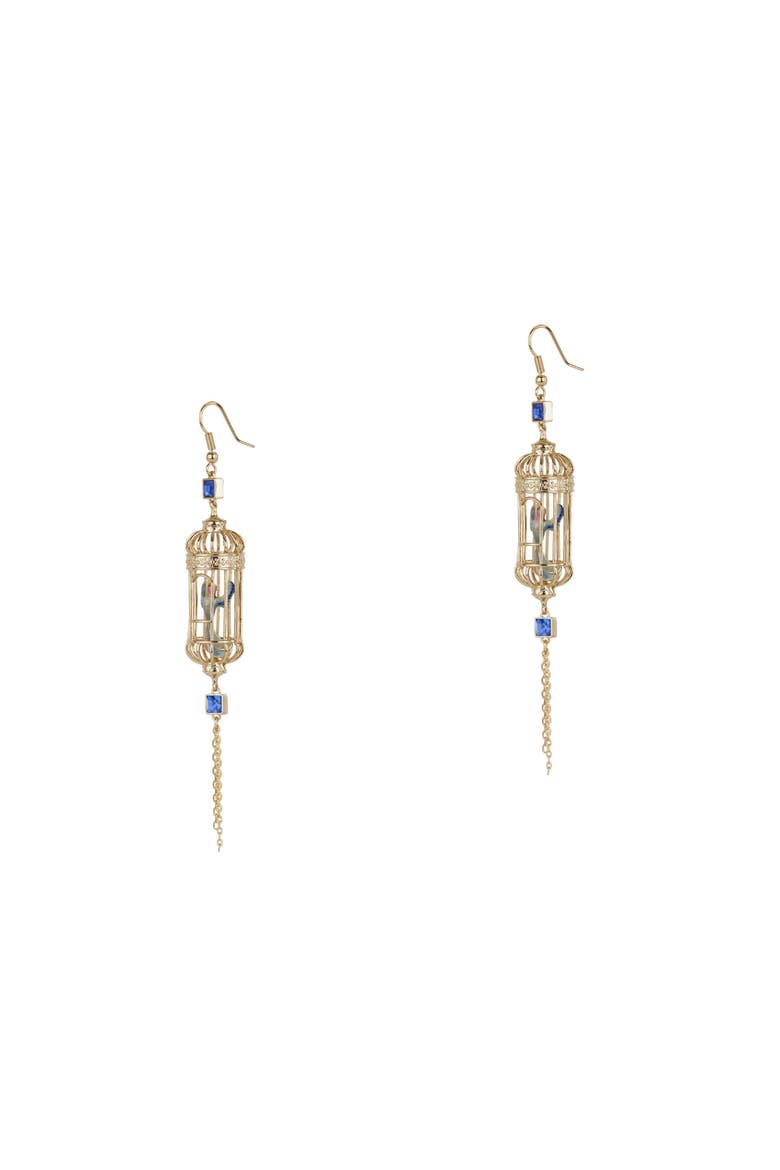 Bird Cage Drop Earrings, Main, color, Bird Cage