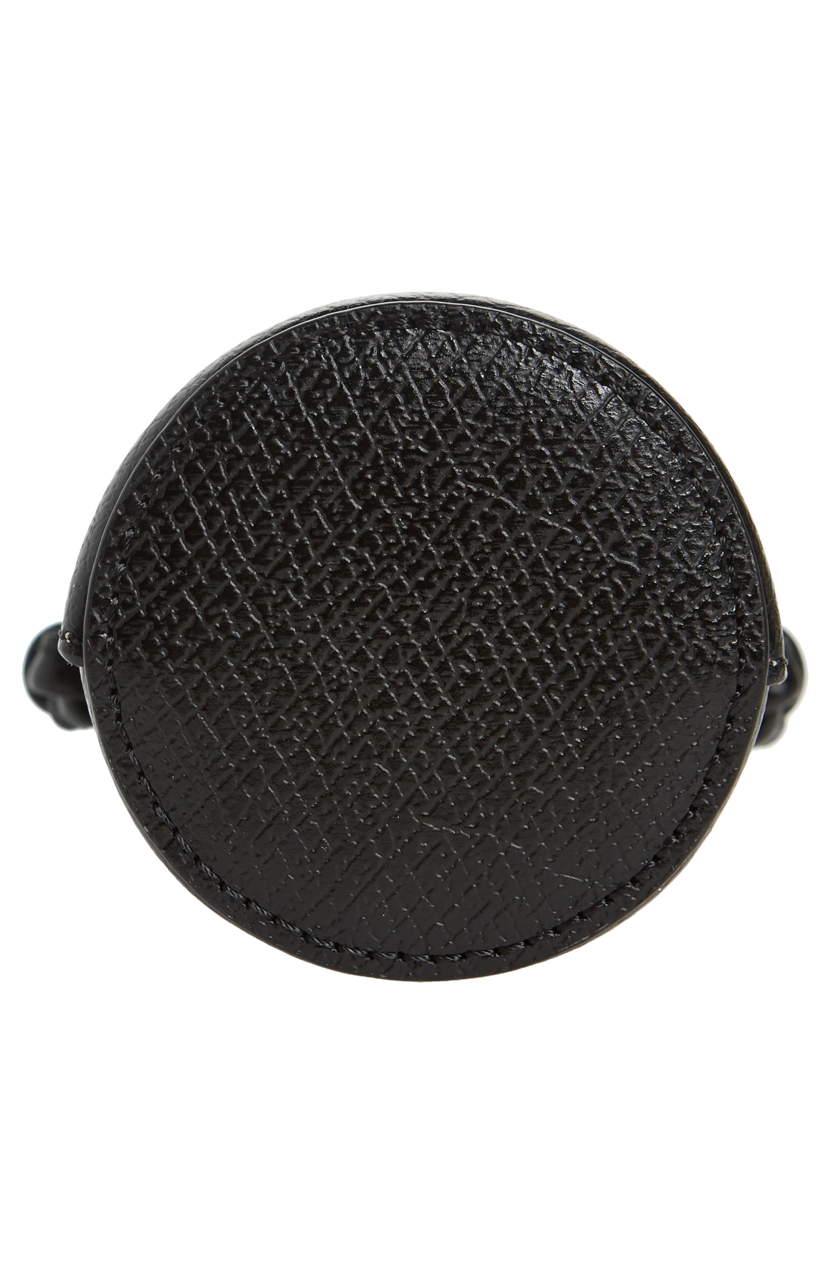 Longchamp Épure Bottle & Leather Crossbody Holder, Alternate, color, 