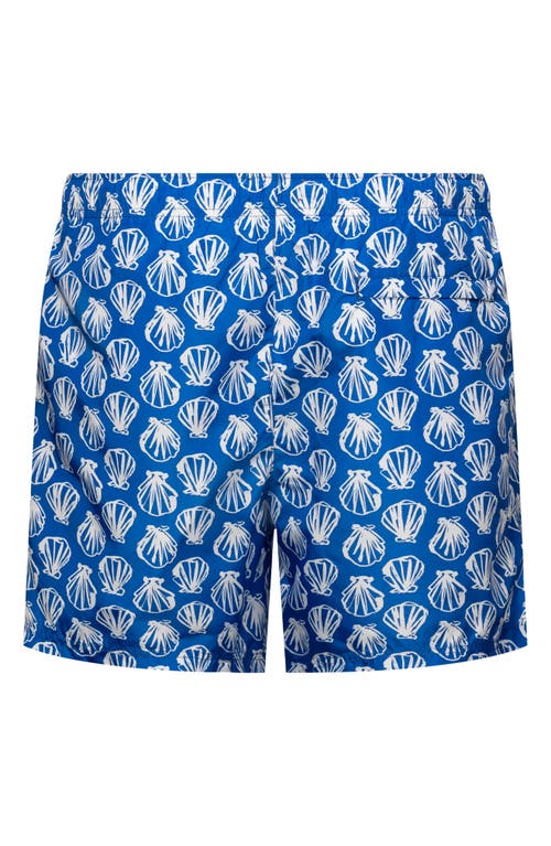 Eton Seashell Swim Trunks