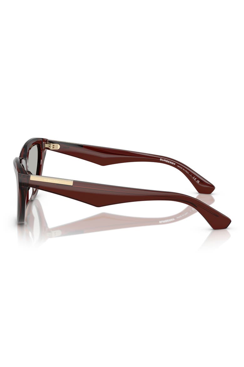 55mm Cat Eye Sunglasses, Alternate, color, BROWN