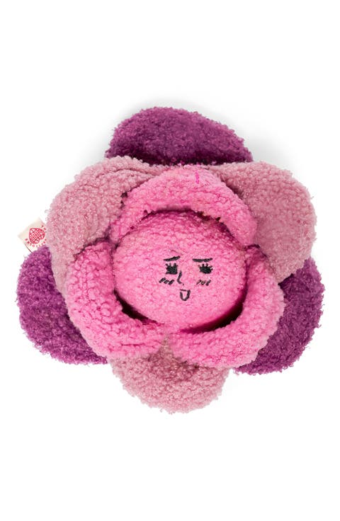 Red Cabbage Nosework Toy