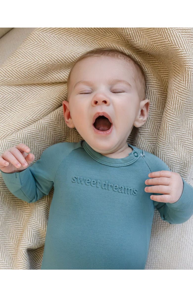 MiniMoi Rich Cotton Fleece Hidden Zipper Footie, Alternate, color, Arctic