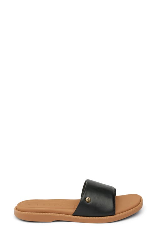 Reef Cushion Sunny Slide Sandal In Black/tan