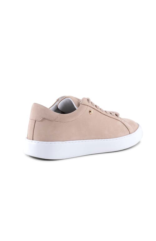Shop Stinaa.j Stella Orthopedic Sneakers In Beige Nubuck