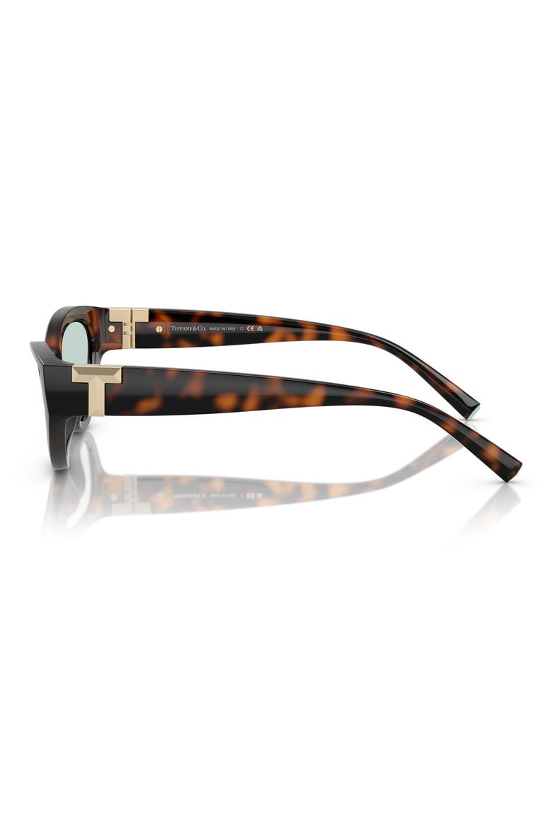 54mm Oval Sunglasses, Alternate, color, HAVANA