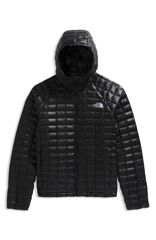 The North Face Thermoball Quilted Hooded Jacket In Black