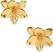 Kiara by Ki-ele Layla Orchid Stud Earrings