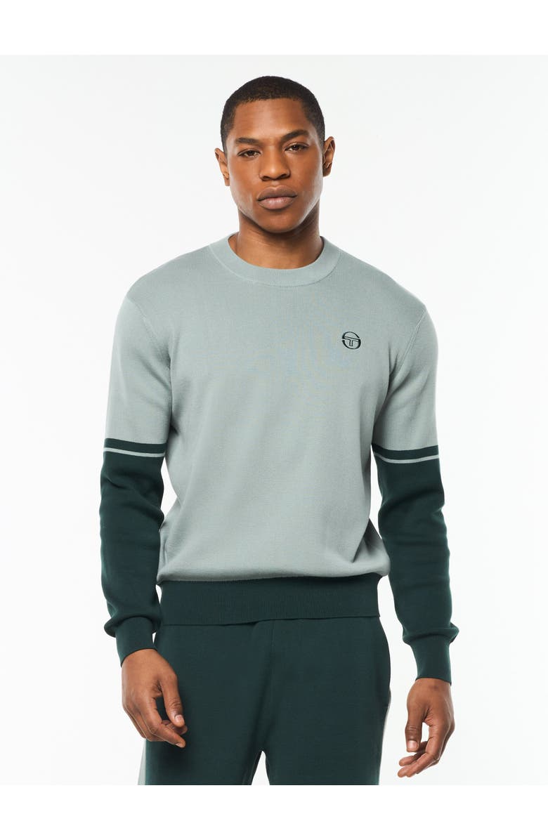 Sergio Tacchini Giovane Crewneck, Main, color, Slate Gray