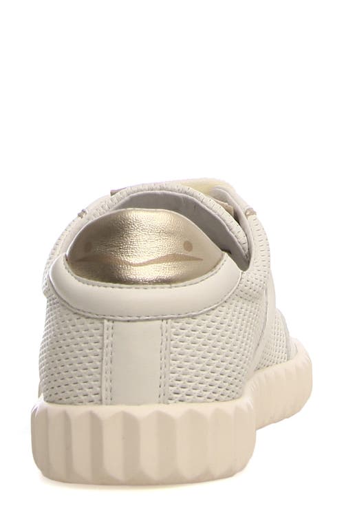 Voile Blanche Selia Sneaker In White