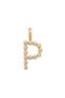  Gold Vermeil Initial P
