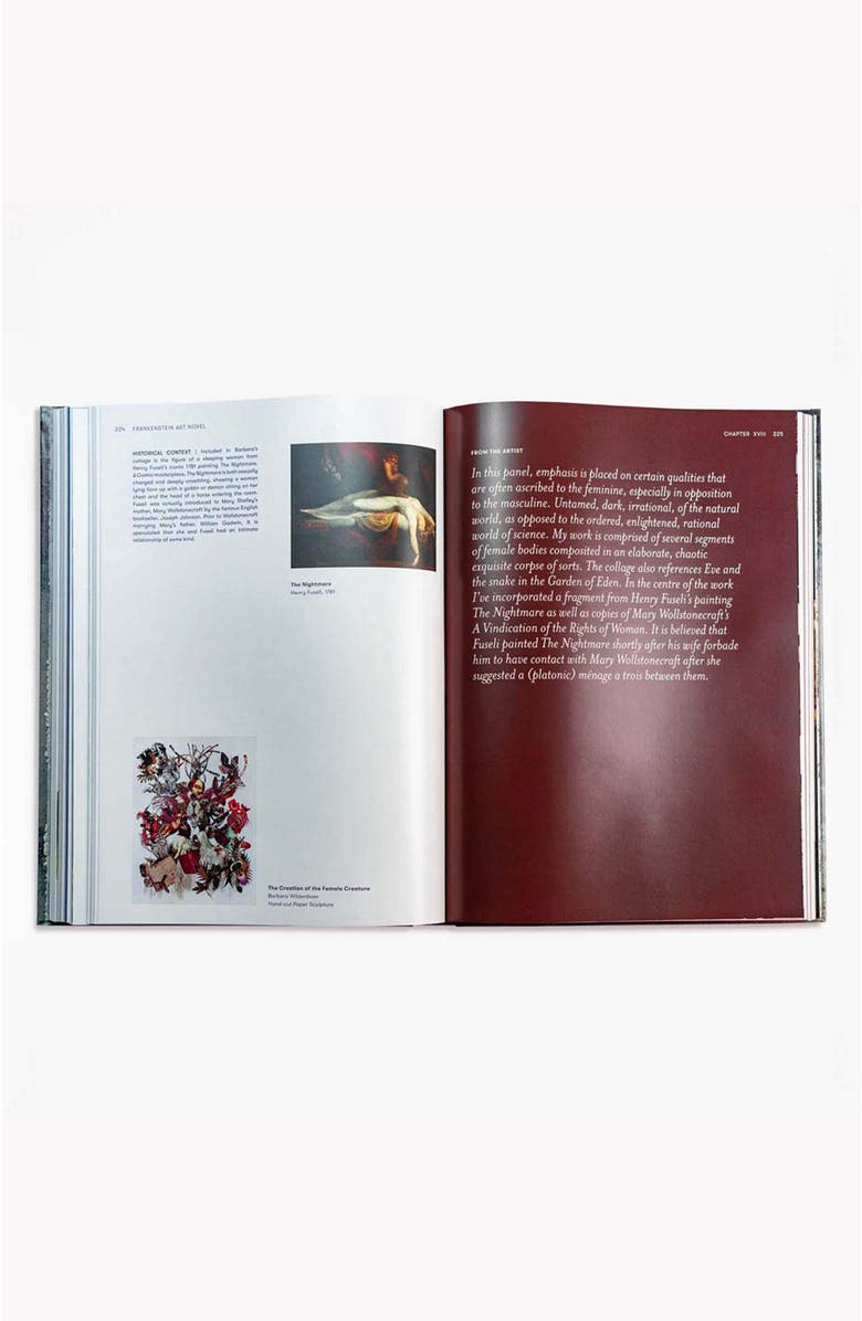 Bond & Grace Frankenstein Art Novel Collector's Edition, Alternate, color, Blue