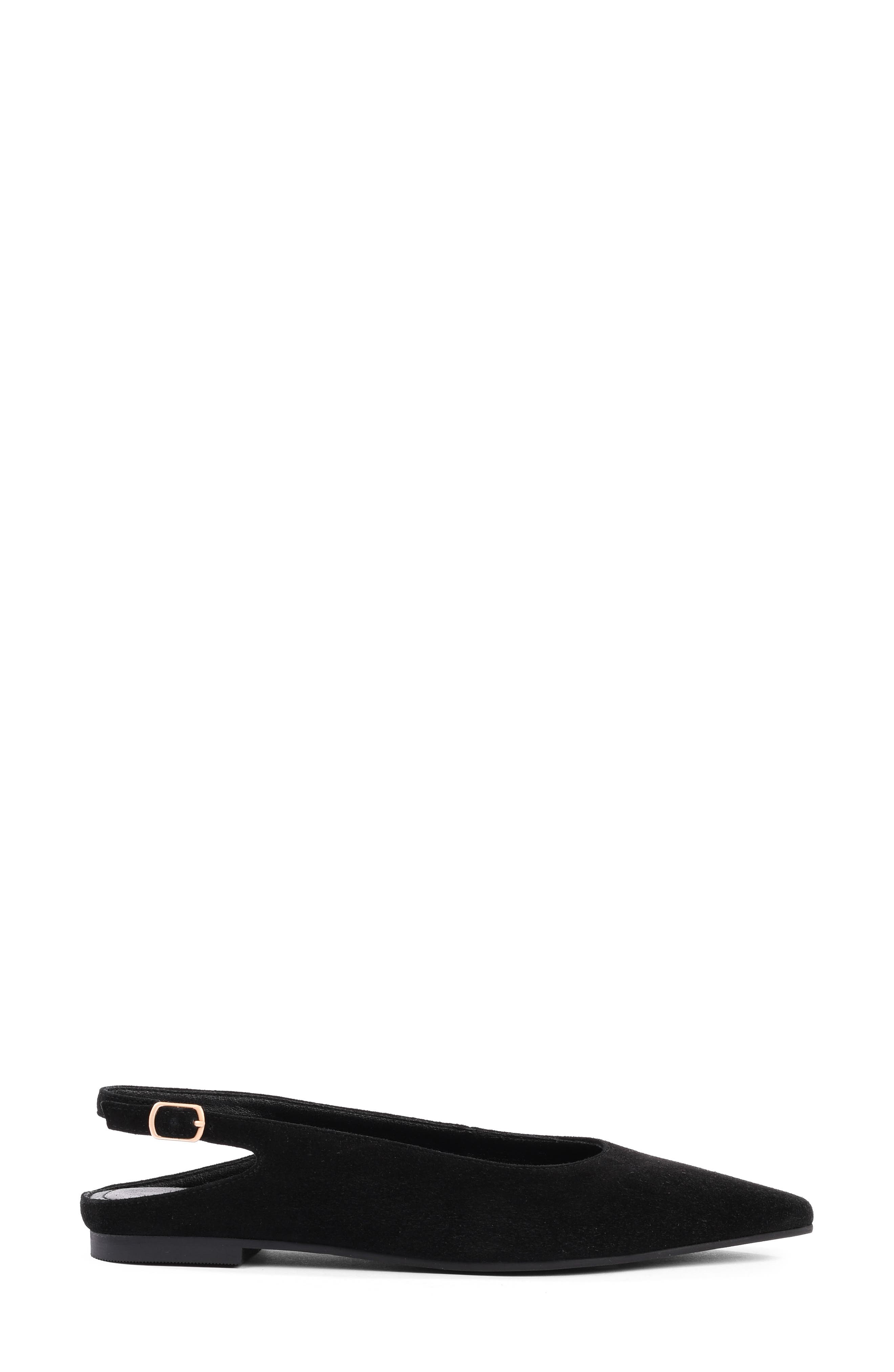 Alameda Pointed Toe Slingback Flat, Alternate, color, BLACK