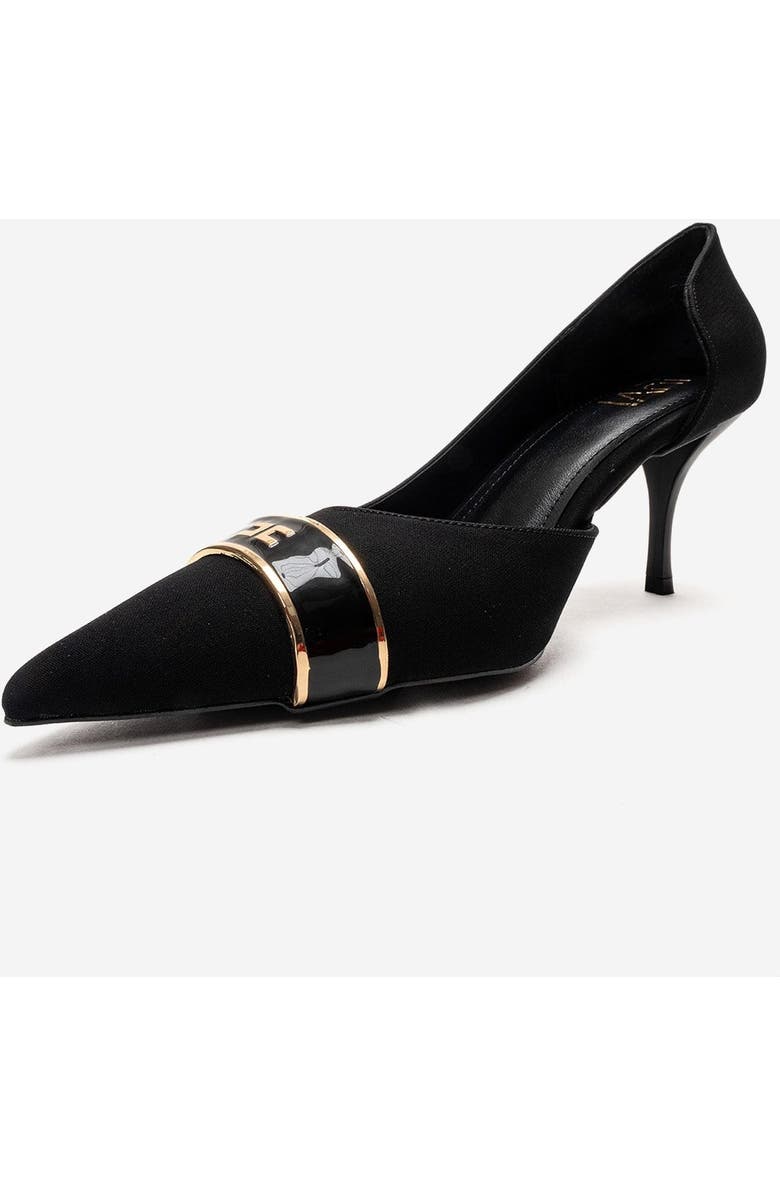 Prologue Shoes Kendra Pointed Toe Stiletto Pump, Alternate, color, Black