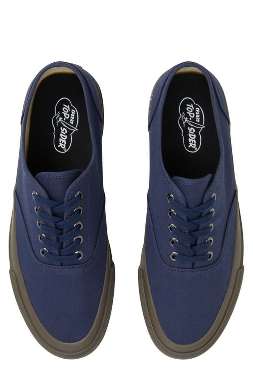 Sperry Top Sider Cvo Sneaker In Blue