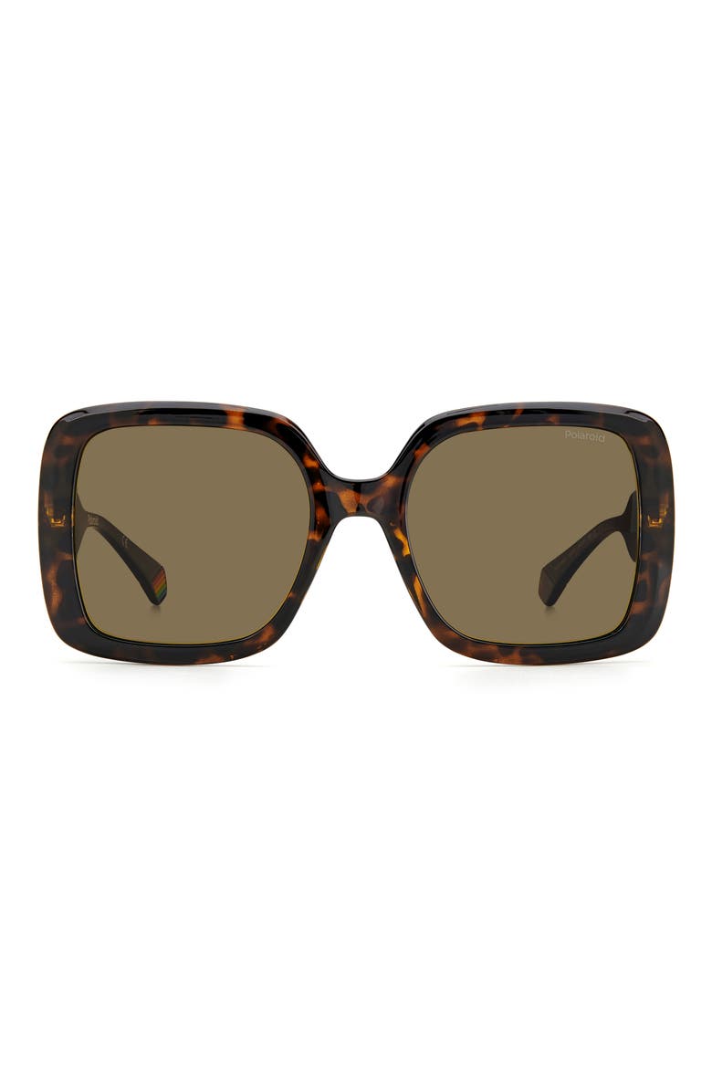 54mm Polarized Square Sunglasses, Main, color, HAVANA / BRONZE POLAR