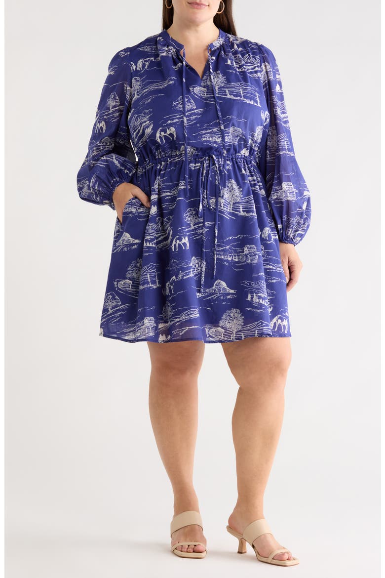 Avon Town Viany Long Sleeve Dress, Main, color, NAVY-CREAM