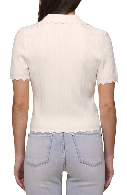 Bagatelle Scalloped Polo Sweater In Multi