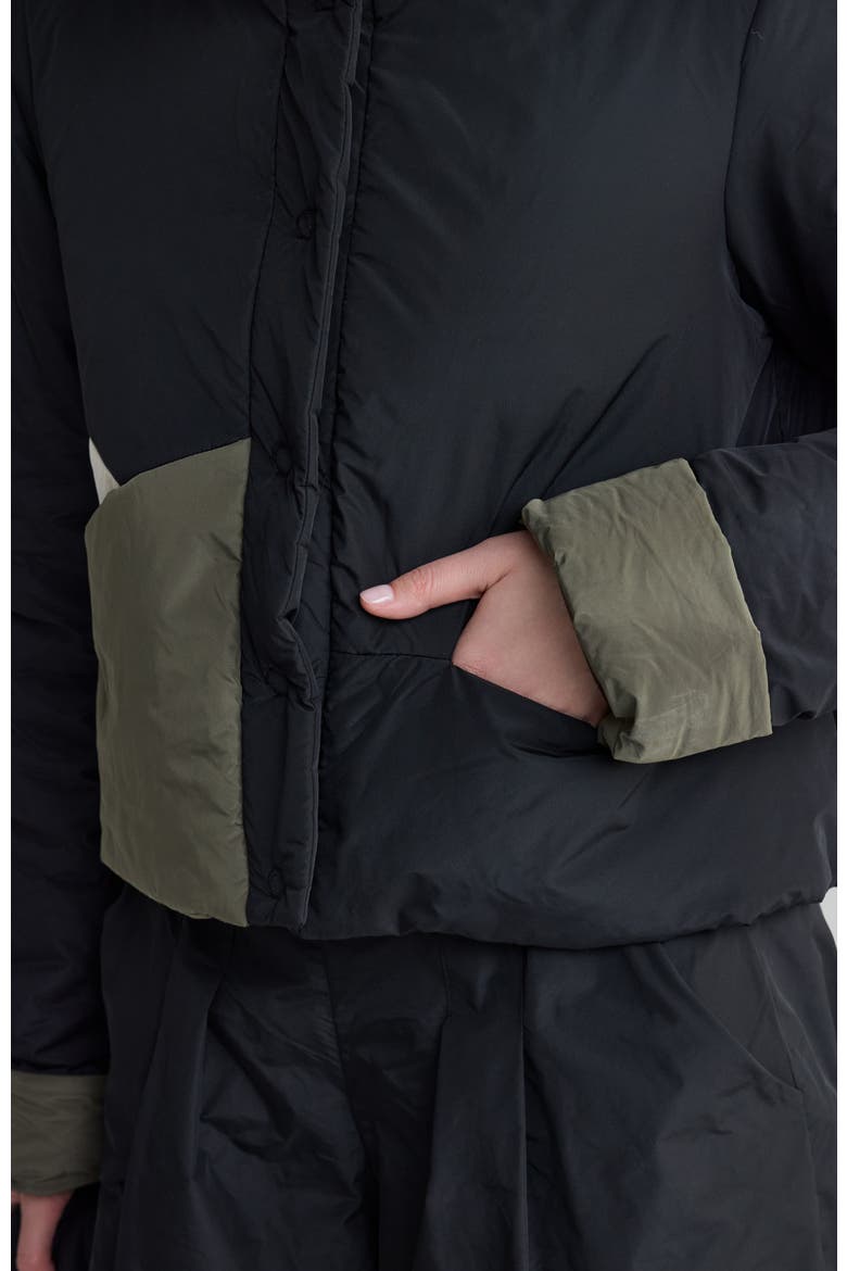 Delora Cropped Panel Coat, Alternate, color, Black