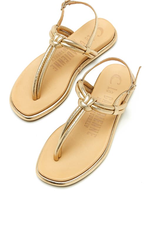 La Canadienne Ambra Slingback Sandal