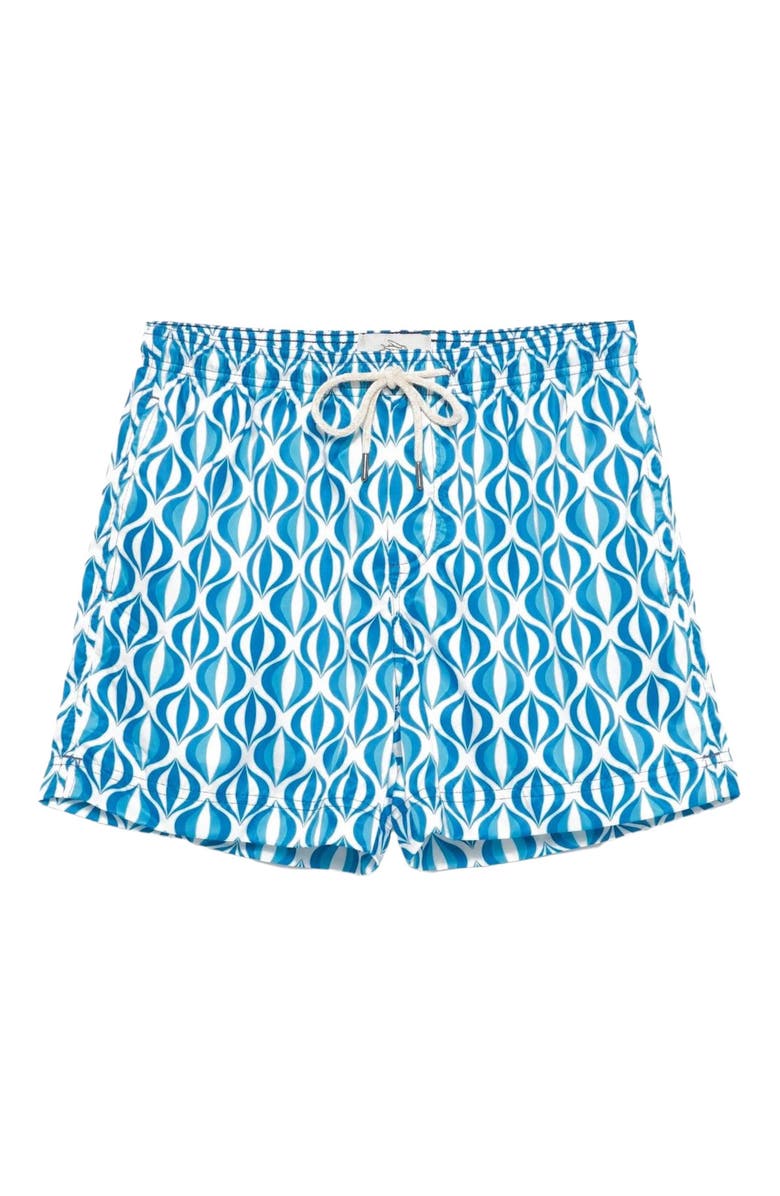 Peninsula Swimwear Cala Cipolla Swim Shorts, Main, color, Blue Multicolor