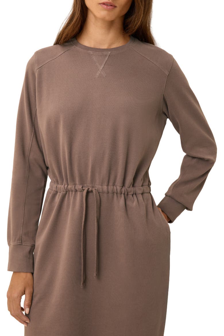 Organic Cotton CloudKnit Sweatshirt Dress, Alternate, color, Deep Taupe