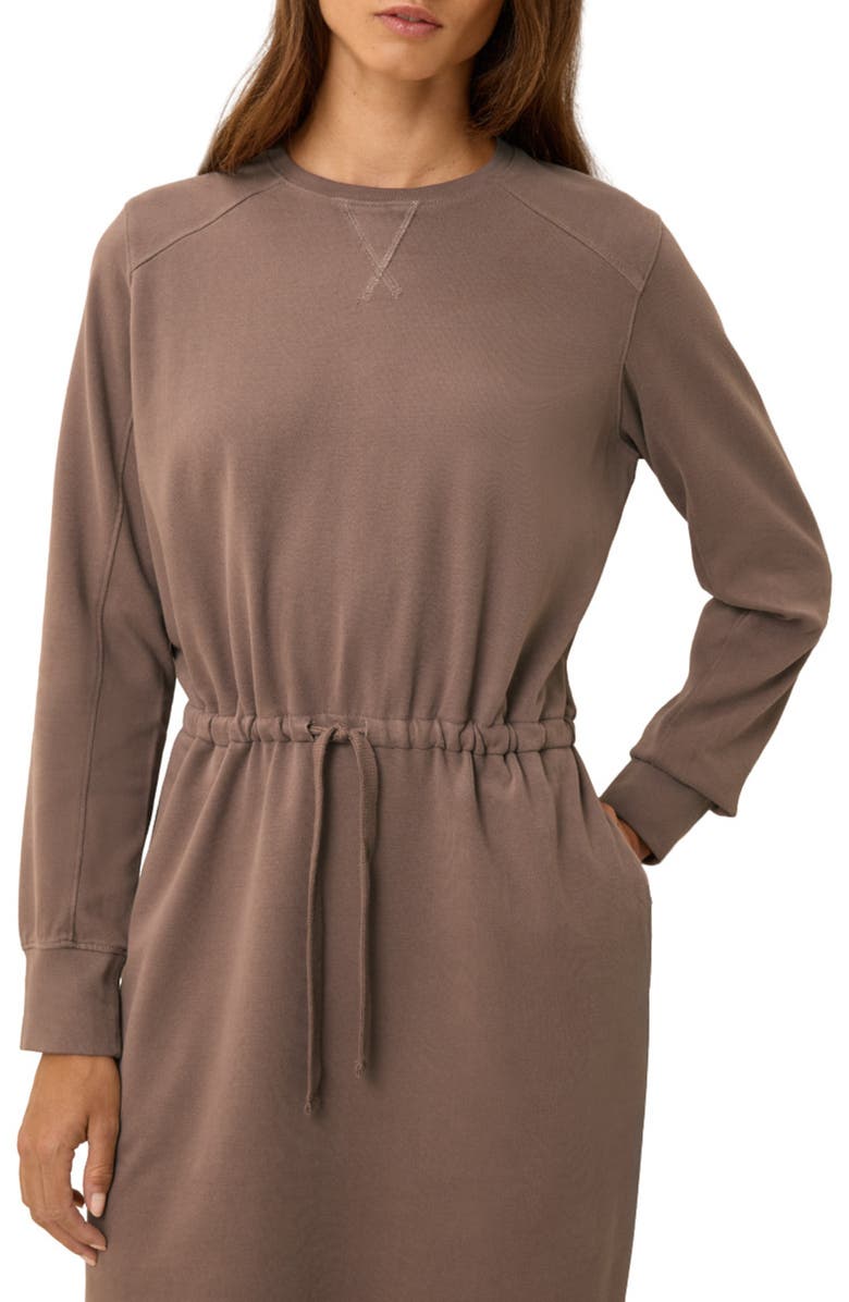 Pact Organic Cotton CloudKnit Sweatshirt Dress, Alternate, color, Deep Taupe