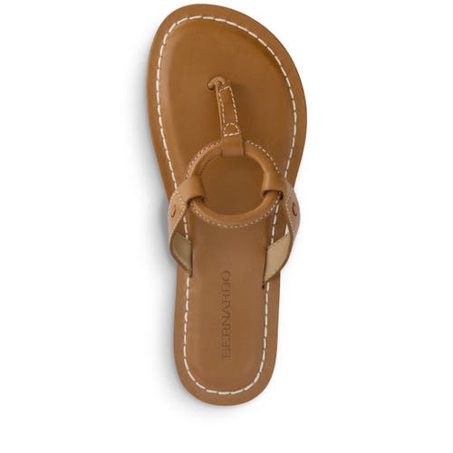 Shop Bernardo Footwear Matrix 2 Thong Sandal In Luggage