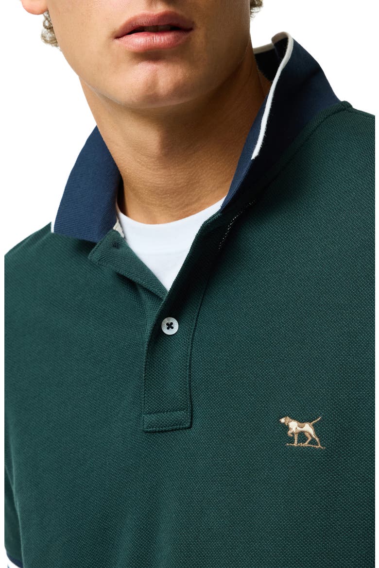 New Lynn Sports Fit Tipped Cotton Piqué Polo, Alternate, color, FOREST