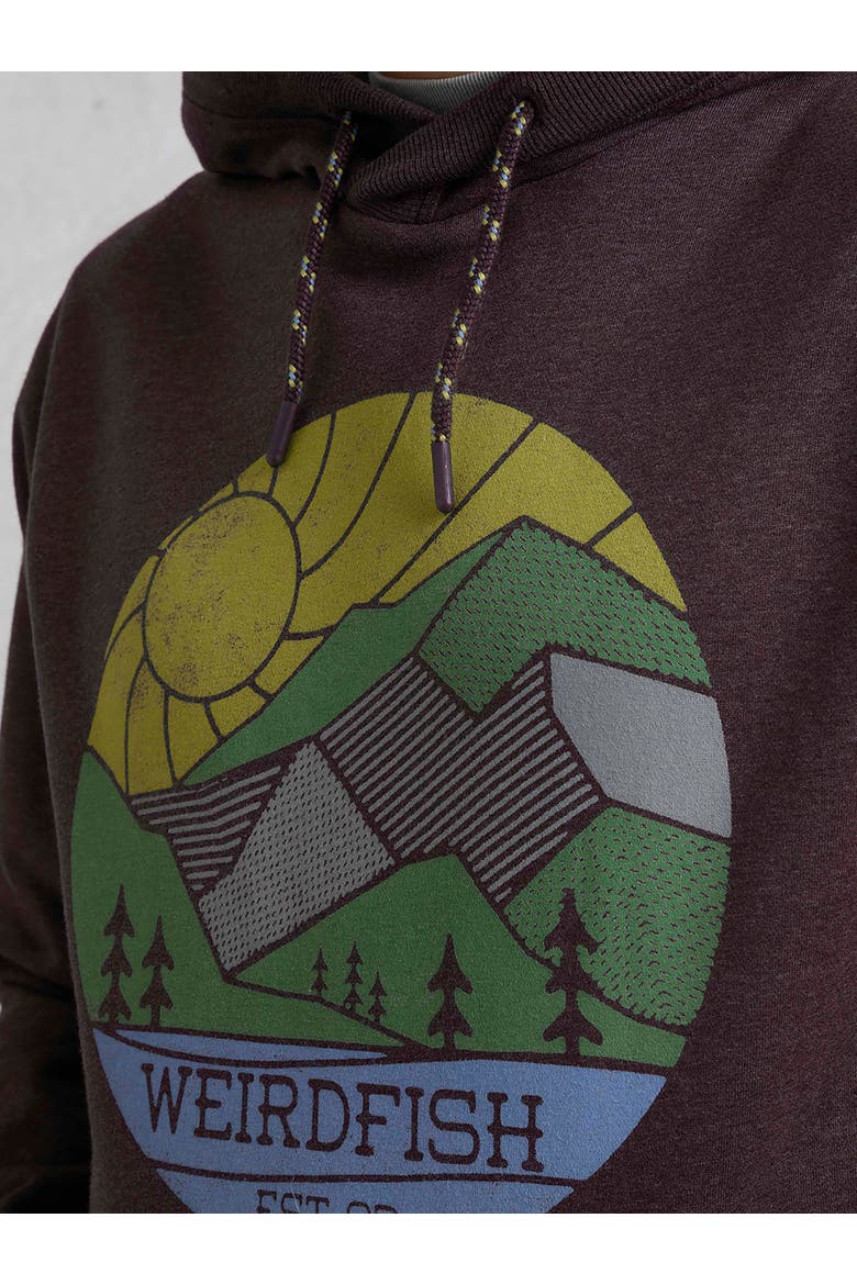 Bryant Graphic Popover Hoodie, Alternate, color, Mulled Wine