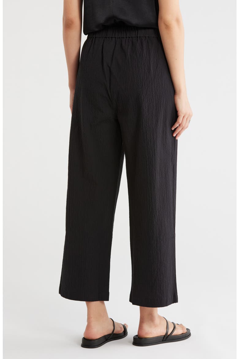 Straight Leg Cropped Pants, Alternate, color, BLACK