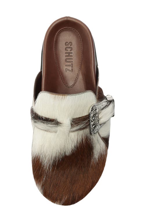 Schutz Grace Buckle Genuine Calf Hair Clog In Brown