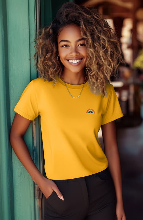 Dalix Womens Rainbow Jersey Relaxed Tee