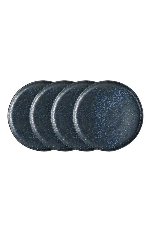 Stone Lain Tom Stoneware 4-piece Salad Plate Set In Blue