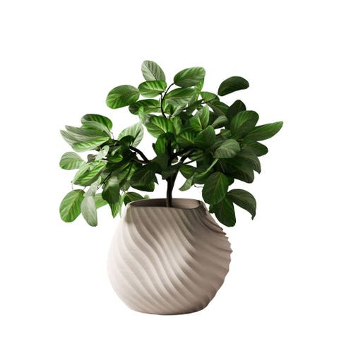 Sea Planter