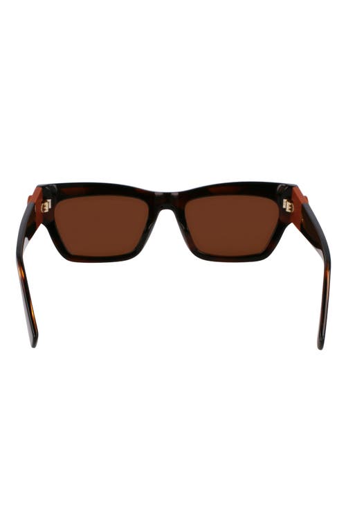 Longchamp Medallion 53mm Modified Rectangular Sunglasses In Striped Brown