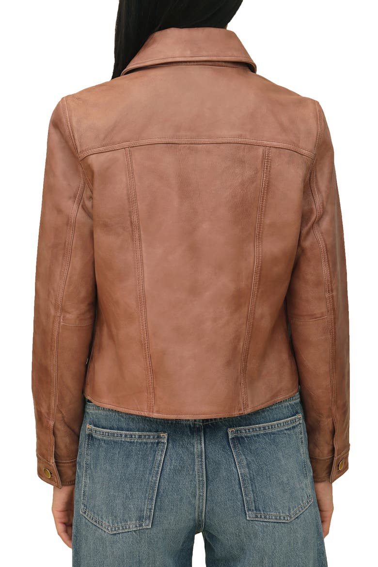 Leather Trucker Jacket, Alternate, color, BROWN