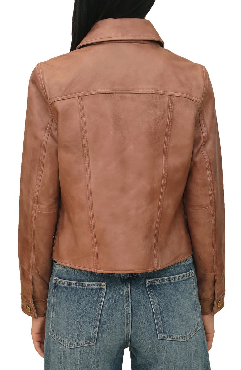 Bagatelle Leather Trucker Jacket, Alternate, color,