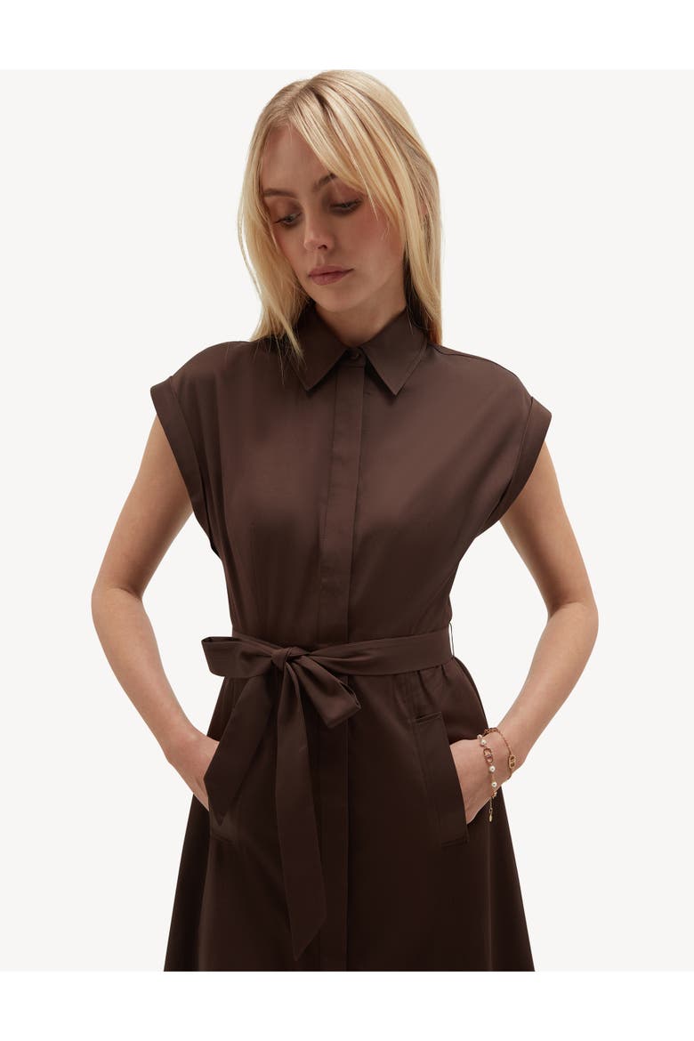 Kristen Belted Shirt Dress, Alternate, color, Alderbrown