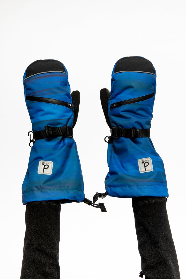 Stripes Teknik Waterproof Cordura Reinforced Winter Mittens, Alternate, color, Blue with Black Stripes