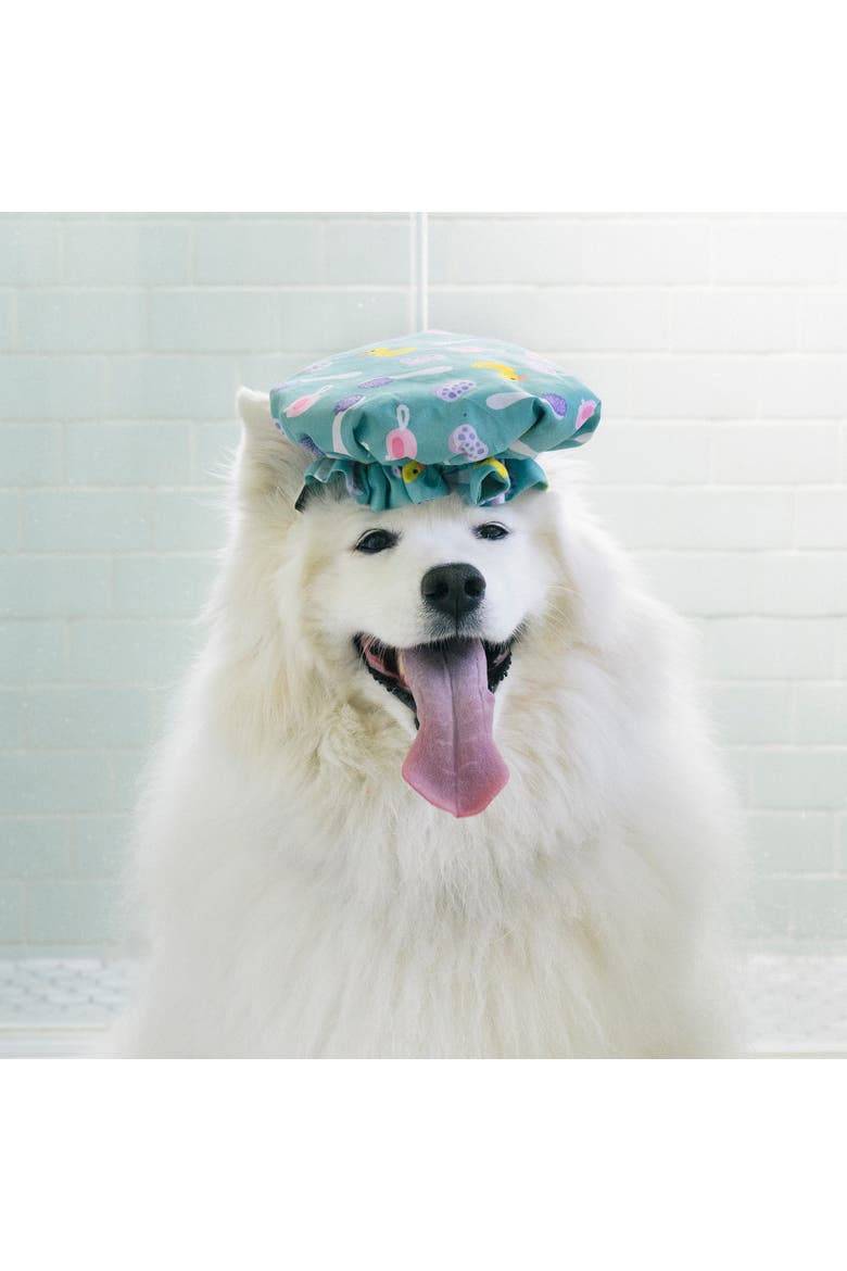 Splish Splash Shower Quack Dog Toy, Wearable Shower Cap, Alternate, color, Multicolored