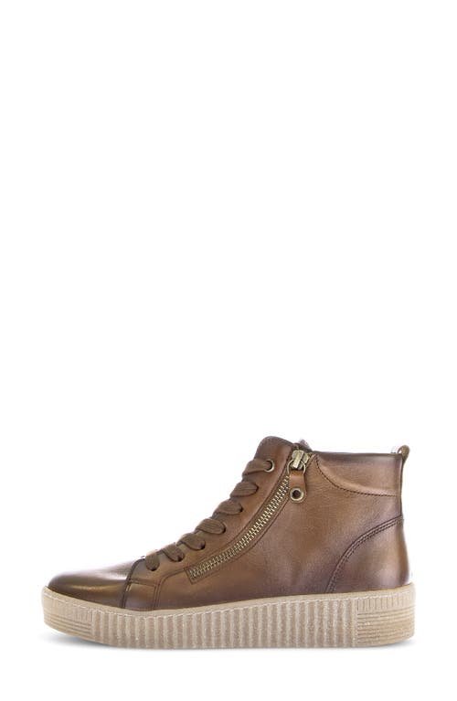 Gabor High Top Sneaker In Brown