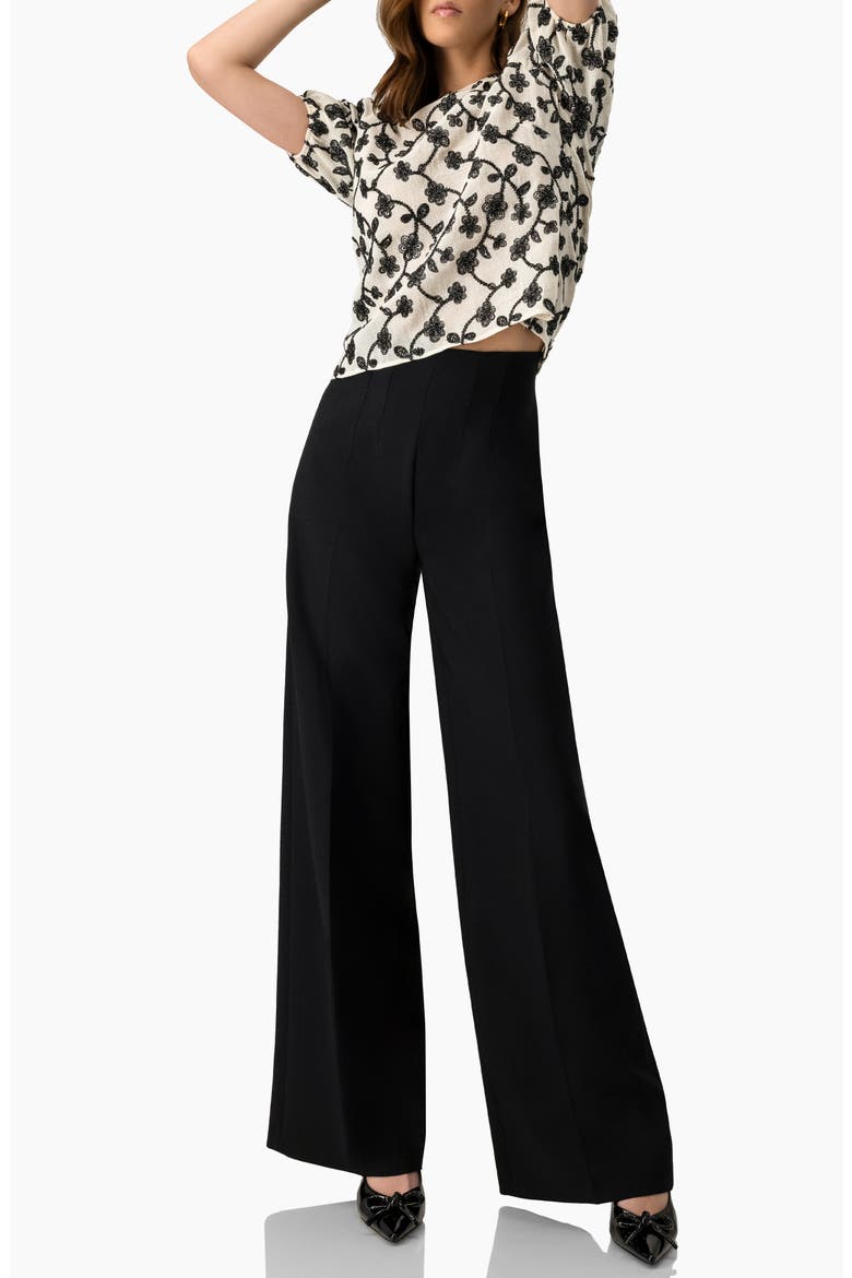 Embroidered Puff-Sleeve Blouse, Alternate, color, Natural