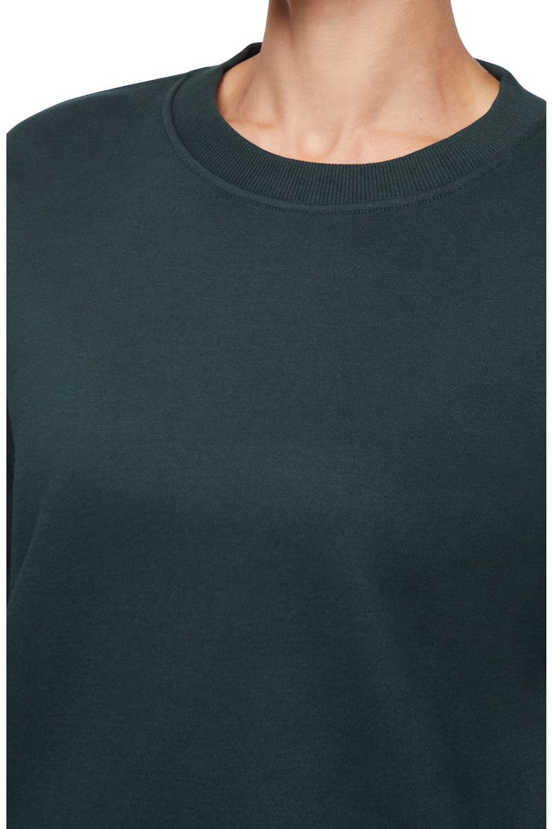 Wren Fleece Sweatshirt & Pants Set, Alternate, color, SCARAB