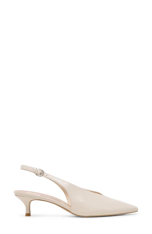 Dolce Vita Alenna Slingback Pointed Toe Kitten Heel Pump
